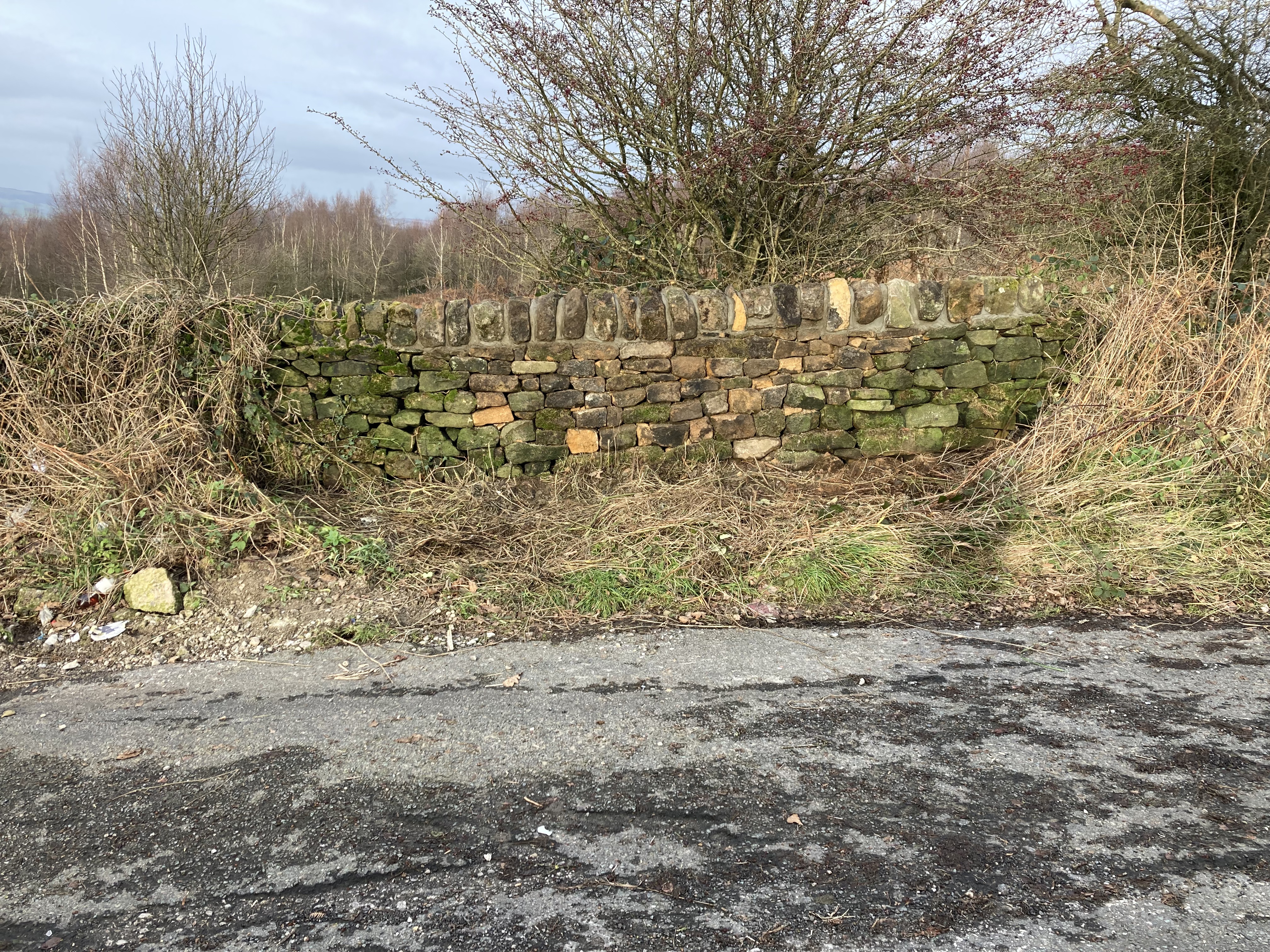 rowsley field / roadside